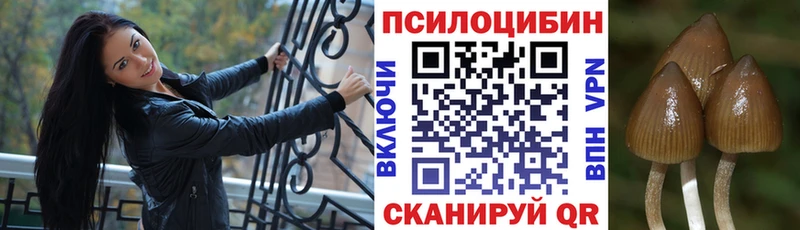 Галлюциногенные грибы прущие грибы Купить Северская